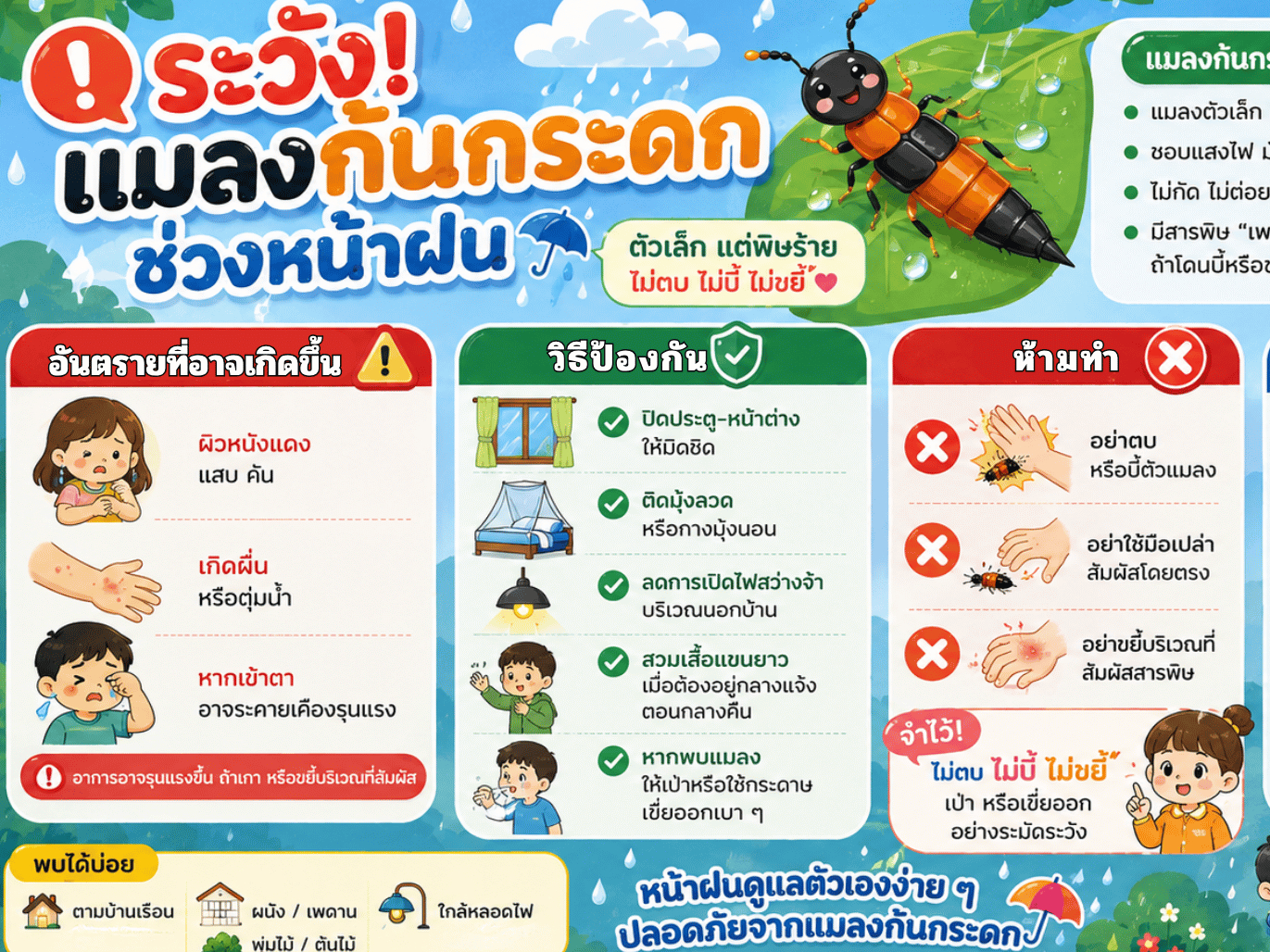 หน้าฝนนี้ ระวัง "แมลงก้นกระดก"