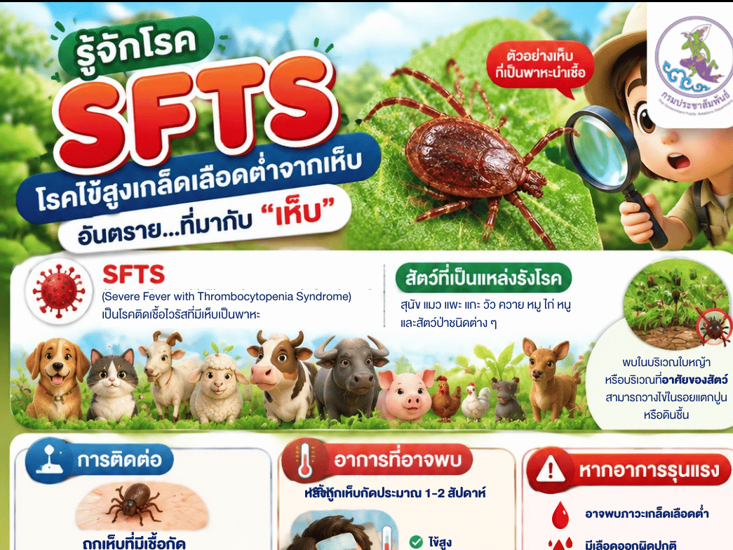 กรมควบคุมโรคเตือน! รู้จัก &ldquo;SFTS&rdquo; โรคไข้สูงเกล็ดเลือดต่ำจากเห็บ